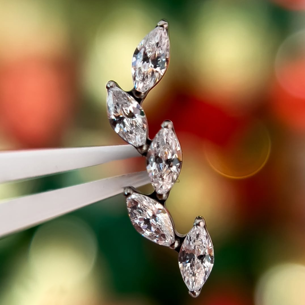 16G G23 Titanium Five Marquise - Cluster Stud Ear review and price
