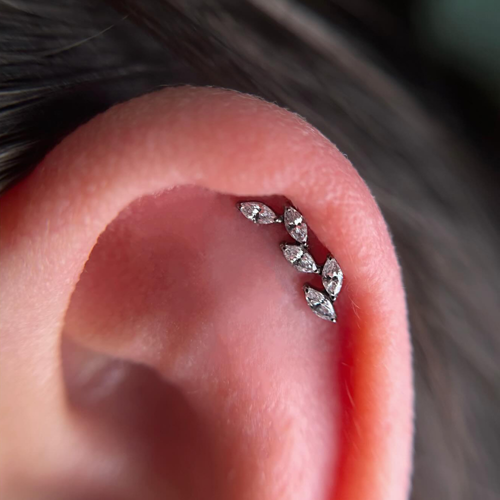16G G23 Titanium Five Marquise - Cluster Stud Ear review and price