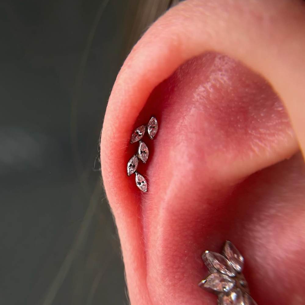 16G G23 Titanium Five Marquise - Cluster Stud Ear review and price