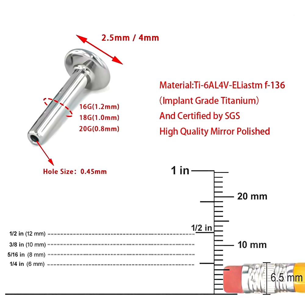 Brand New 10-Piece Set F136 Ti - Body Jewelry Brands review and price