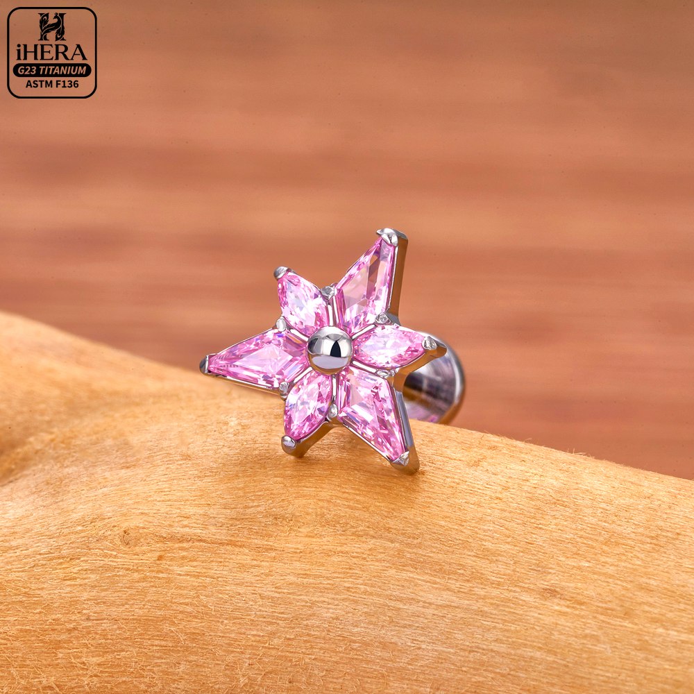 ASTM F136 Titanium Sparkly CZ  - Cluster Stud Ear review and price