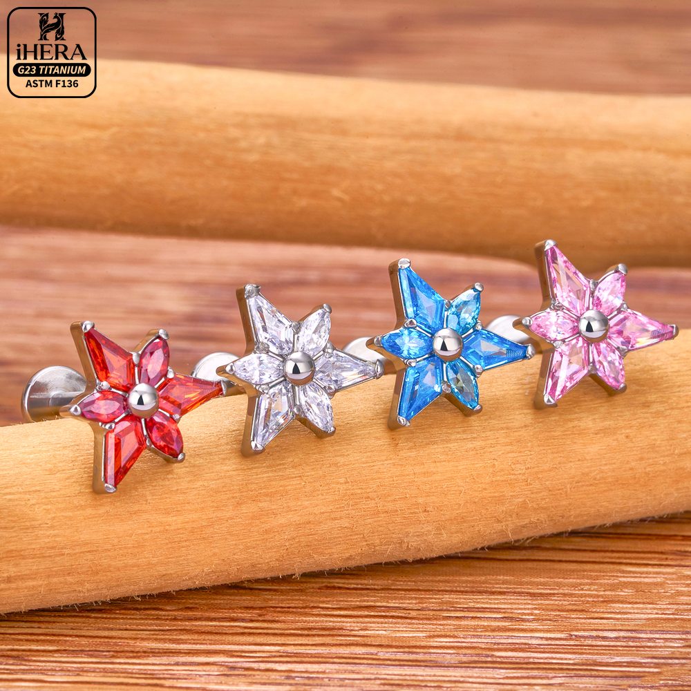 ASTM F136 Titanium Sparkly CZ  - Cluster Stud Ear review and price